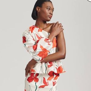 Beautiful floral Anthropologie Hutch dress NWT size 14